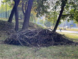 Zdjęcie 2 przedstawia problem zgłoszony w tym alercie