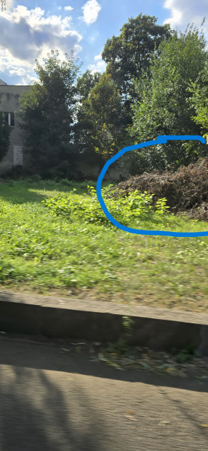 Zdjęcie 2 przedstawia problem zgłoszony w tym alercie