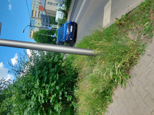 Zdjęcie 1 przedstawia problem zgłoszony w tym alercie
