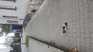 Zdjęcie 1 przedstawia problem zgłoszony w tym alercie