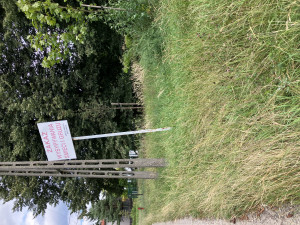 Zdjęcie 1 przedstawia problem zgłoszony w tym alercie