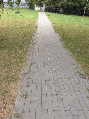 Zdjęcie 2 przedstawia problem zgłoszony w tym alercie