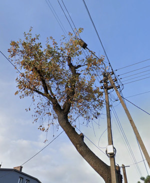 Zdjęcie 1 przedstawia problem zgłoszony w tym alercie