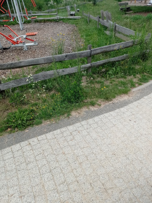 Zdjęcie 2 przedstawia problem zgłoszony w tym alercie