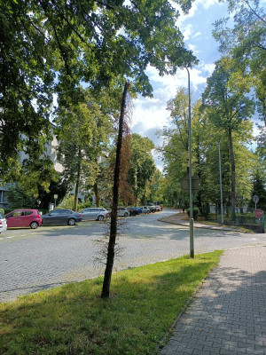 Zdjęcie 1 przedstawia problem zgłoszony w tym alercie