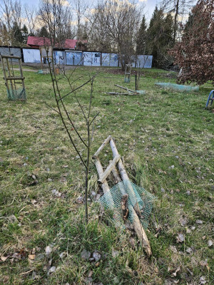 Zdjęcie 4 przedstawia problem zgłoszony w tym alercie