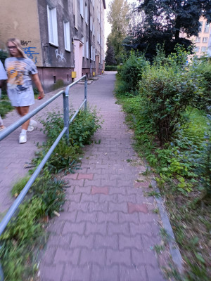 Zdjęcie 2 przedstawia problem zgłoszony w tym alercie