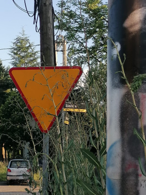Zdjęcie 2 przedstawia problem zgłoszony w tym alercie