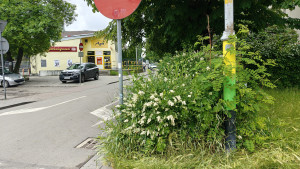 Zdjęcie 1 przedstawia problem zgłoszony w tym alercie