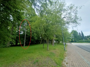 Zdjęcie 1 przedstawia problem zgłoszony w tym alercie