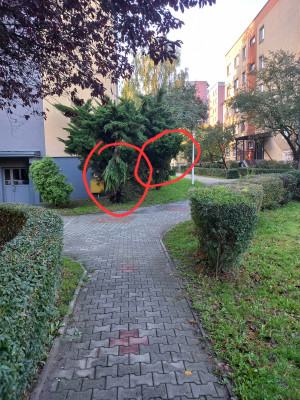 Zdjęcie 2 przedstawia problem zgłoszony w tym alercie