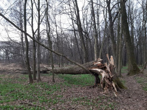 Zdjęcie 1 przedstawia problem zgłoszony w tym alercie