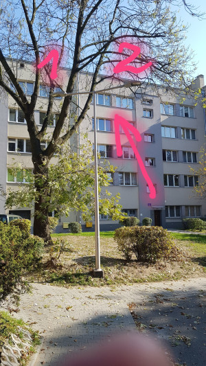Zdjęcie 2 przedstawia problem zgłoszony w tym alercie