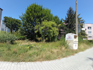 Zdjęcie 8 przedstawia problem zgłoszony w tym alercie