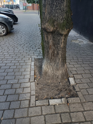 Zdjęcie 4 przedstawia problem zgłoszony w tym alercie