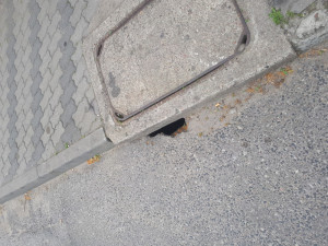 Zdjęcie 1 przedstawia problem zgłoszony w tym alercie