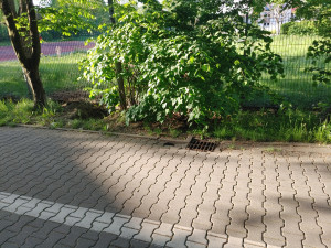 Zdjęcie 2 przedstawia problem zgłoszony w tym alercie