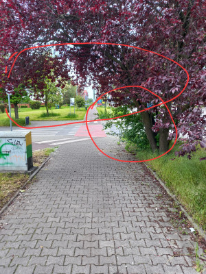 Zdjęcie 1 przedstawia problem zgłoszony w tym alercie
