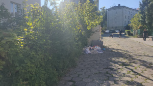 Zdjęcie 1 przedstawia problem zgłoszony w tym alercie