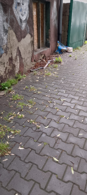 Zdjęcie 4 przedstawia problem zgłoszony w tym alercie