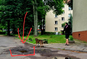 Zdjęcie 1 przedstawia problem zgłoszony w tym alercie