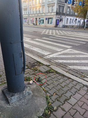 Zdjęcie 1 przedstawia problem zgłoszony w tym alercie