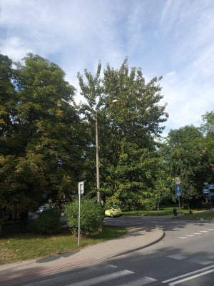 Zdjęcie 1 przedstawia problem zgłoszony w tym alercie