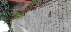 Zdjęcie 8 przedstawia problem zgłoszony w tym alercie