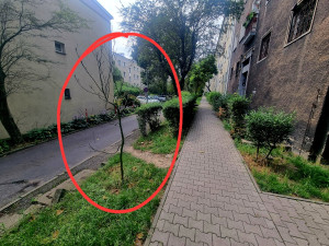 Zdjęcie 2 przedstawia problem zgłoszony w tym alercie