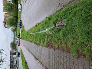 Zdjęcie 1 przedstawia problem zgłoszony w tym alercie