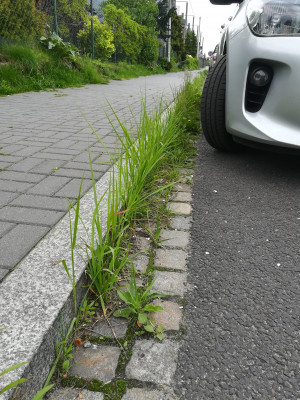 Zdjęcie 2 przedstawia problem zgłoszony w tym alercie