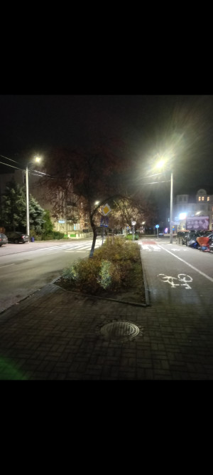 Zdjęcie 2 przedstawia problem zgłoszony w tym alercie