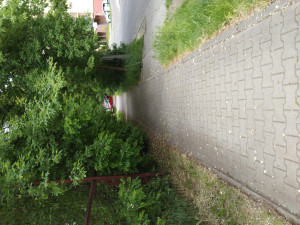 Zdjęcie 1 przedstawia problem zgłoszony w tym alercie