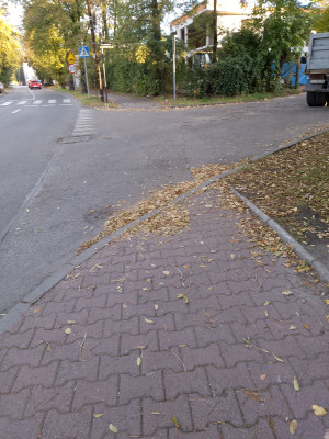 Zdjęcie 2 przedstawia problem zgłoszony w tym alercie