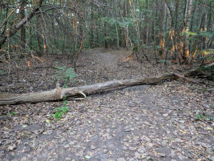 Zdjęcie 1 przedstawia problem zgłoszony w tym alercie