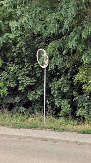 Zdjęcie 4 przedstawia problem zgłoszony w tym alercie