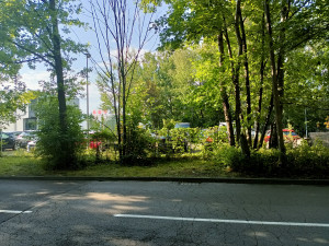Zdjęcie 1 przedstawia problem zgłoszony w tym alercie