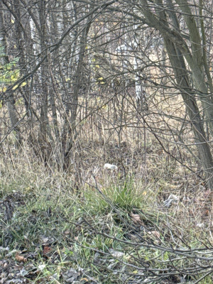 Zdjęcie 3 przedstawia problem zgłoszony w tym alercie