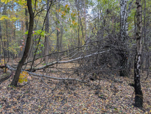 Zdjęcie 1 przedstawia problem zgłoszony w tym alercie