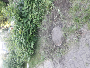 Zdjęcie 3 przedstawia problem zgłoszony w tym alercie