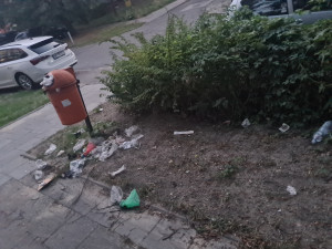 Zdjęcie 1 przedstawia problem zgłoszony w tym alercie