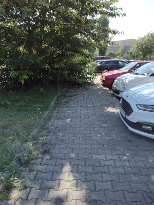 Zdjęcie 2 przedstawia problem zgłoszony w tym alercie