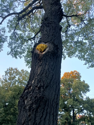 Zdjęcie 2 przedstawia problem zgłoszony w tym alercie
