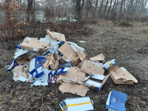 Zdjęcie 1 przedstawia problem zgłoszony w tym alercie