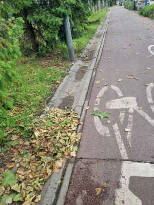 Zdjęcie 2 przedstawia problem zgłoszony w tym alercie
