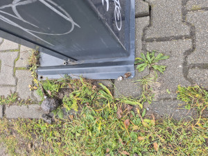 Zdjęcie 5 przedstawia problem zgłoszony w tym alercie