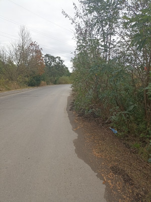 Zdjęcie 4 przedstawia problem zgłoszony w tym alercie