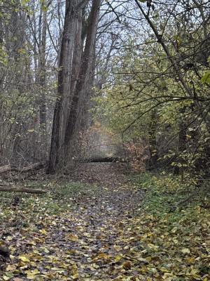Zdjęcie 1 przedstawia problem zgłoszony w tym alercie