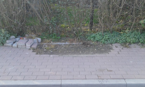 Zdjęcie 1 przedstawia problem zgłoszony w tym alercie