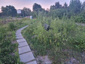 Zdjęcie 1 przedstawia problem zgłoszony w tym alercie
